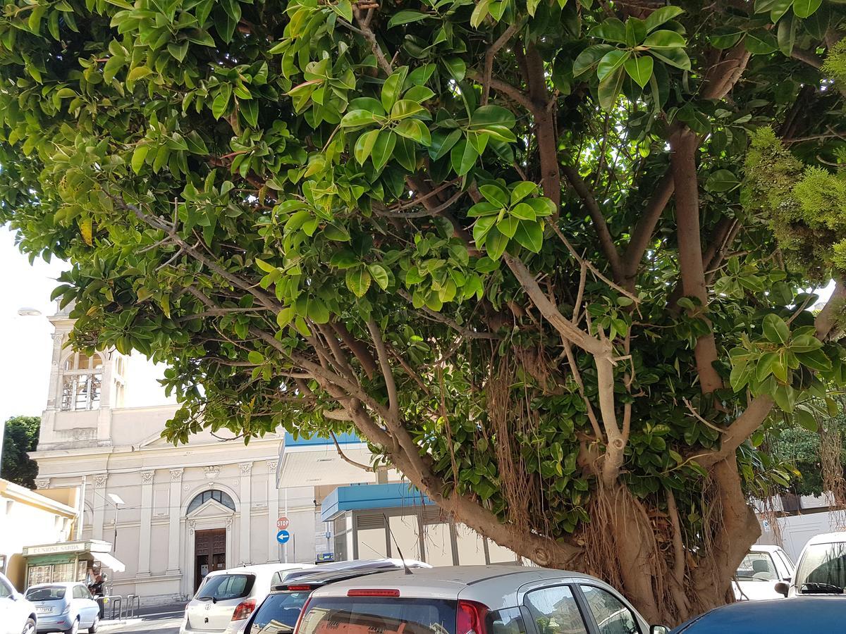 Da Agnese Locazioni Brevi Hotel Cagliari Buitenkant foto